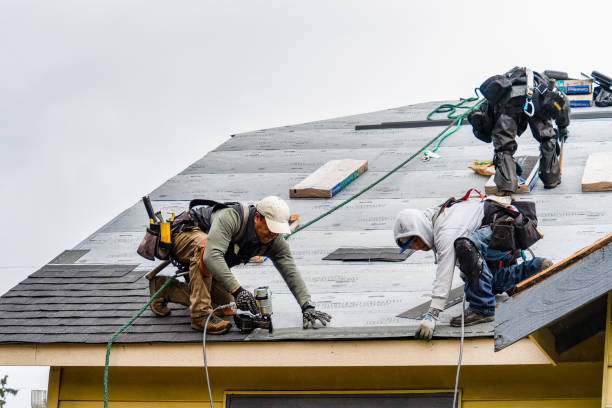 Professional Gutter Installation technician working in Calhoun, MO